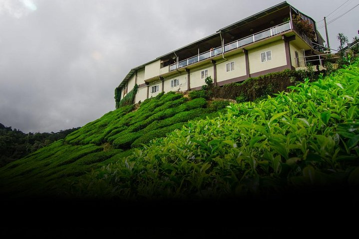 Tea Factory Tour at Galle (Pitigala) - Photo 1 of 9